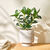 Kunstplant in pot (grijs)