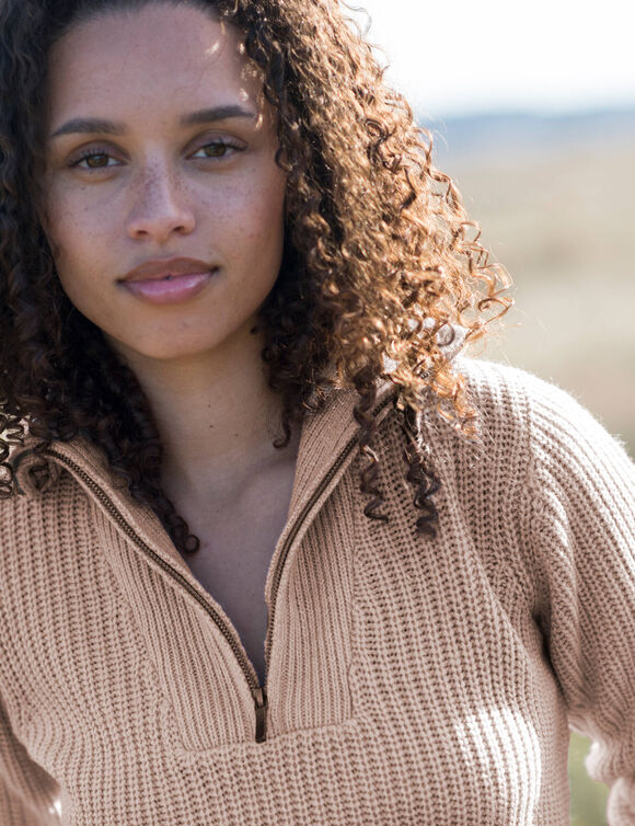 Pull col camionneur zippé maille anglasie (beige chiné)