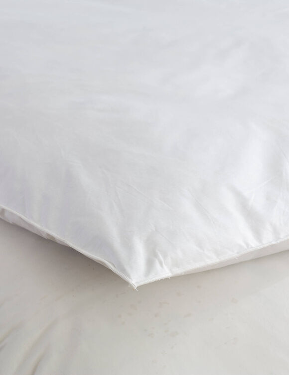 Édredon naturel duvet et plumettes qualité prestige (écru 1)