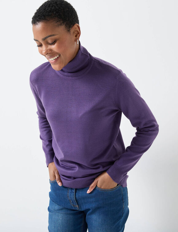 Pull col roul&eacute;, toucher doux (aubergine)