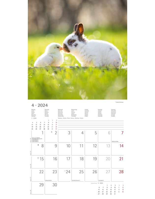 Kalender 2023 dierenvrienden (uniek)
