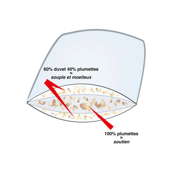 Oreiller prestige 3 zones duvet et plumettes  (blanc)