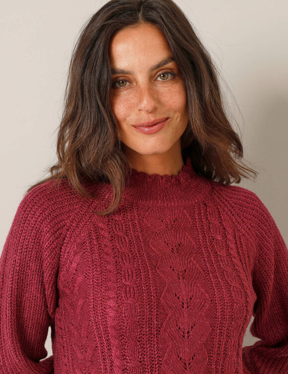 Pull col montant, maille anglaise toucher doux (prune)