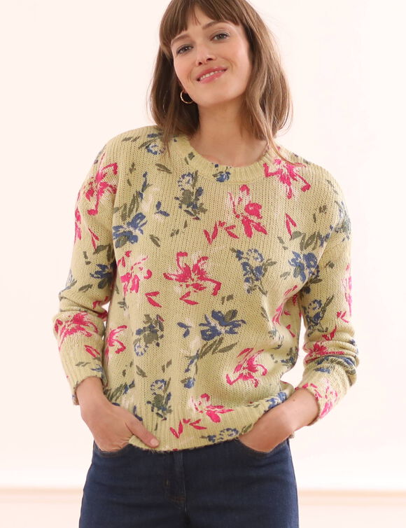 Pull col rond imprimé (vert / rose)