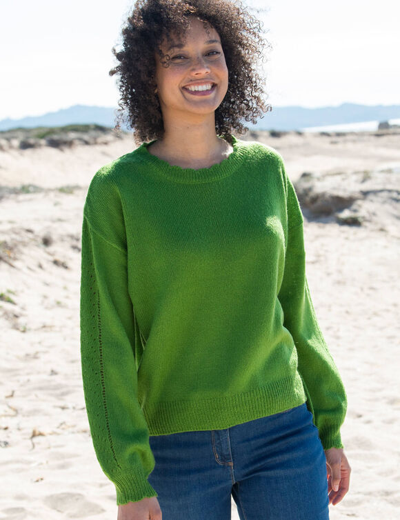 Pull col rond finitions écailles (vert)