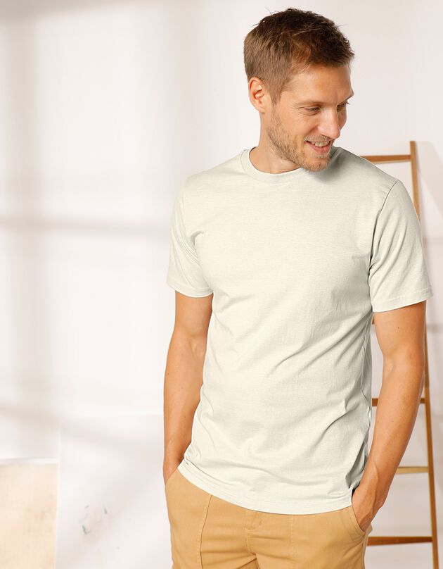 Tee-shirt col rond manches courtes - lot de 3 (3 écru chiné / gris / bleuet)