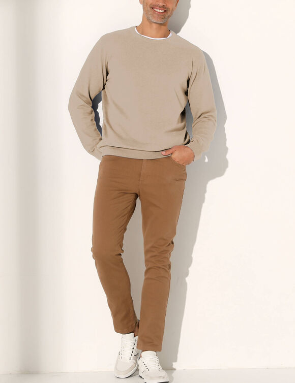 Pull pur coton col rond (taupe chin&eacute;)