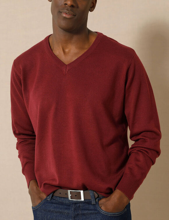 Pull uni col V (bordeaux)