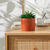 Groene kunstplant en pot in cement (terracotta)