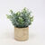 Kunstplant en cementpot (grijs)