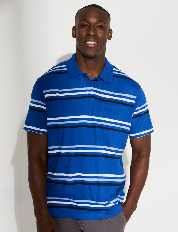 Gestreepte polo met korte mouwen (blauw)