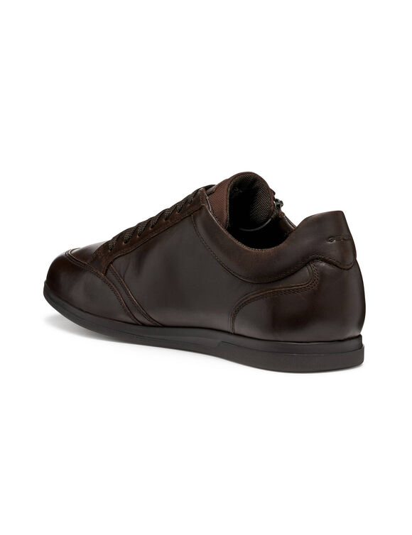 Sneakers RENAN (bruin)