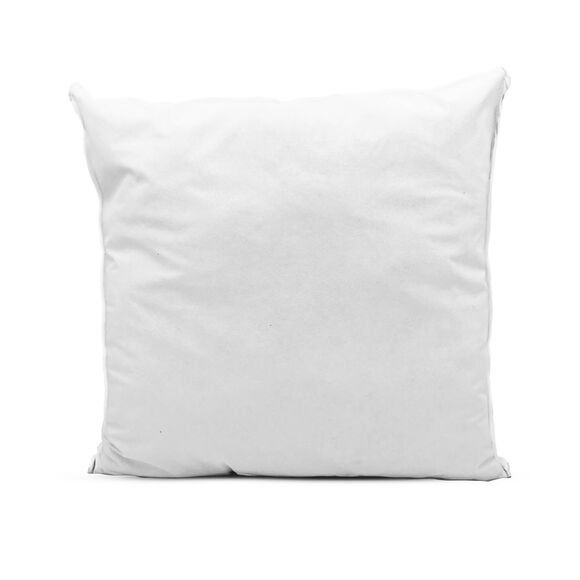 Oreiller Evolon® anti-acariens et anti-punaises de lit lavable 95° (blanc)