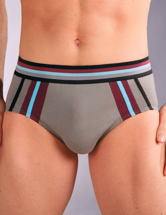 Slip met hoge taille en contrasterende strepen - set van 6 (zwart / bordeaux)