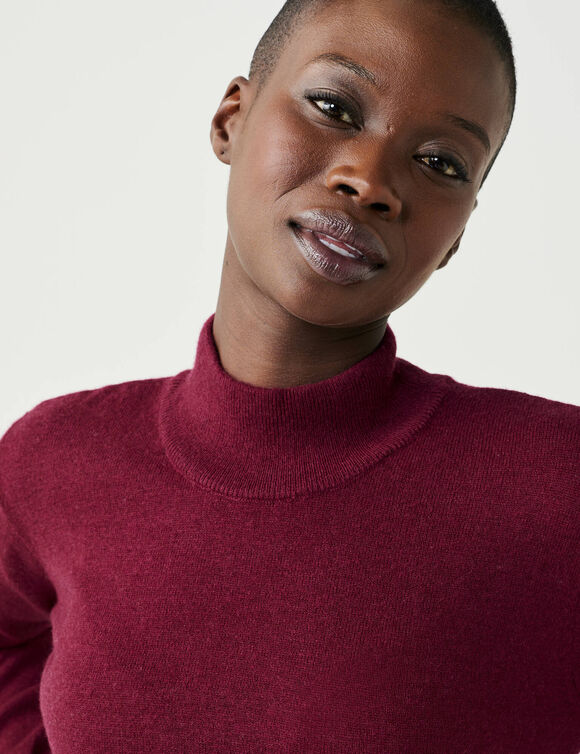 Pull col montant, laine d'agneau (bordeaux)