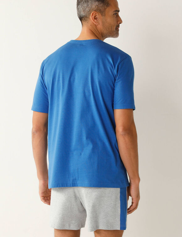 Pyjama short coton rayures plac&eacute;es col rond (bleu / gris)