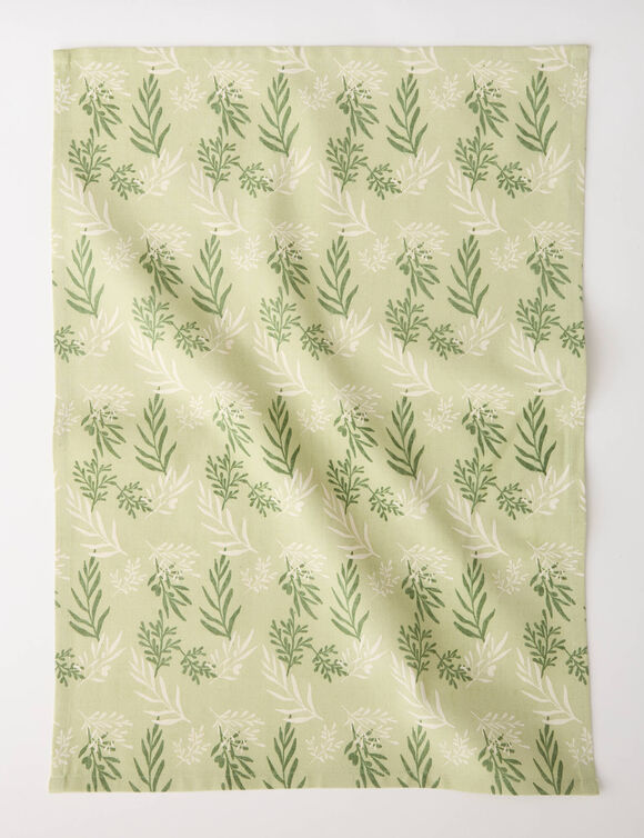Torchons assortis coton vert sauge - lot de 3 (vert sauge)