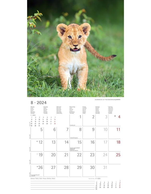 Kalender 2023 babydieren (uniek)