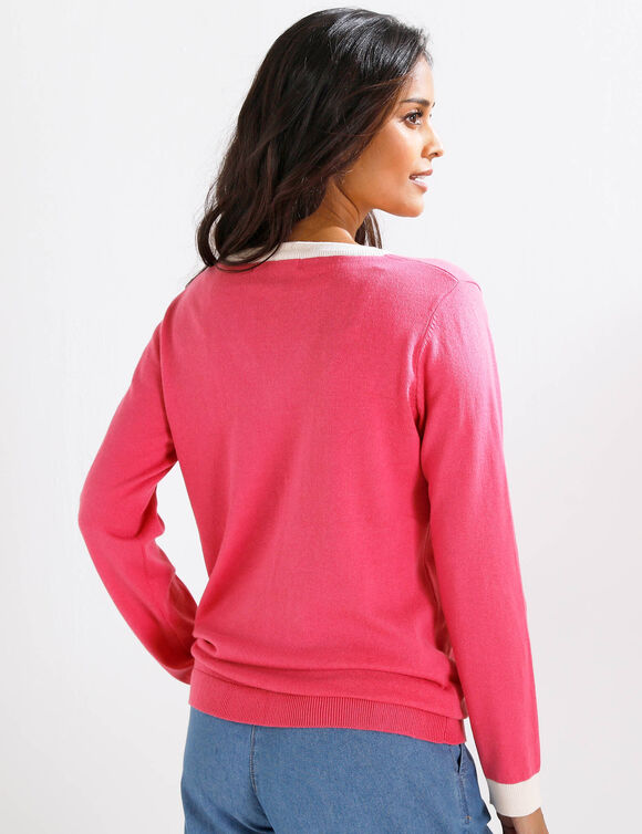 Pull col V bicolore (roze / ecru)