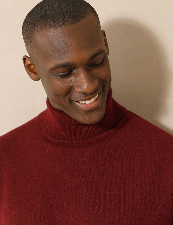 Pull col roulé en laine mélangée (bordeaux)