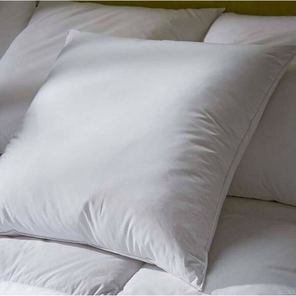 Oreiller duvet et plumettes enveloppe coton antitaches - 800g (blanc)