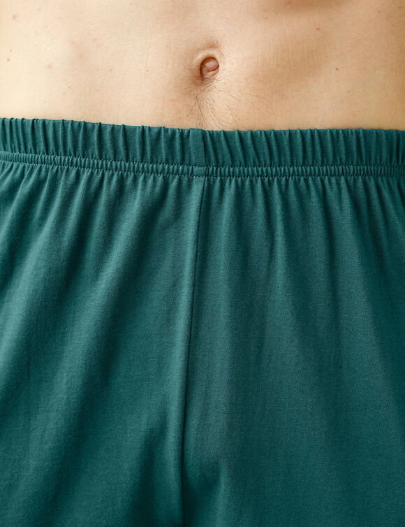 Pyjama short manches courtes marmotte (bleu / vert)