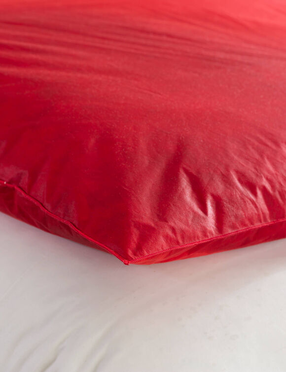 Edredon naturel duvet et plumettes (cerise)