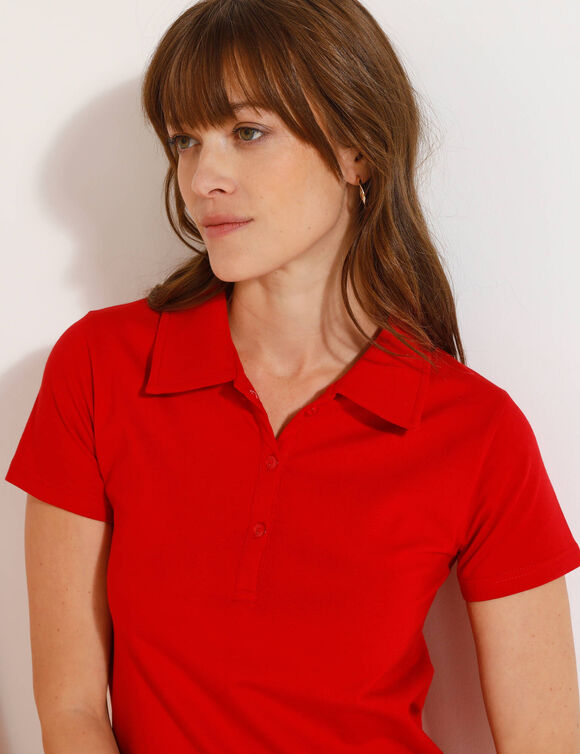 Robe droite col polo unie, maille stretch (rouge carmin)