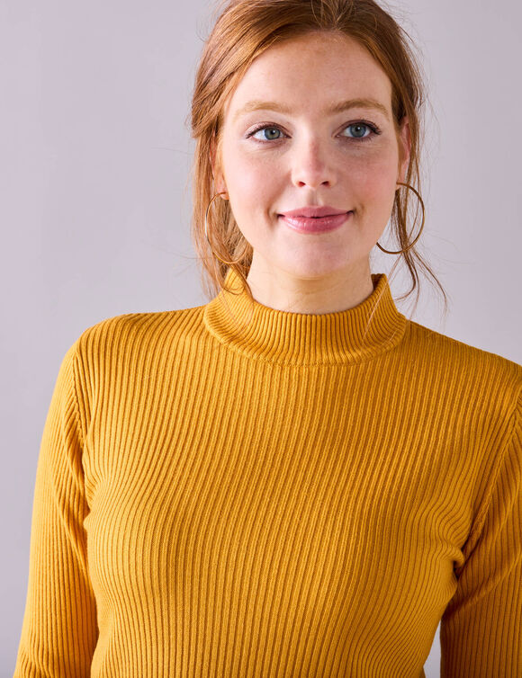 Pull col montant court, maille côtelée (curry)