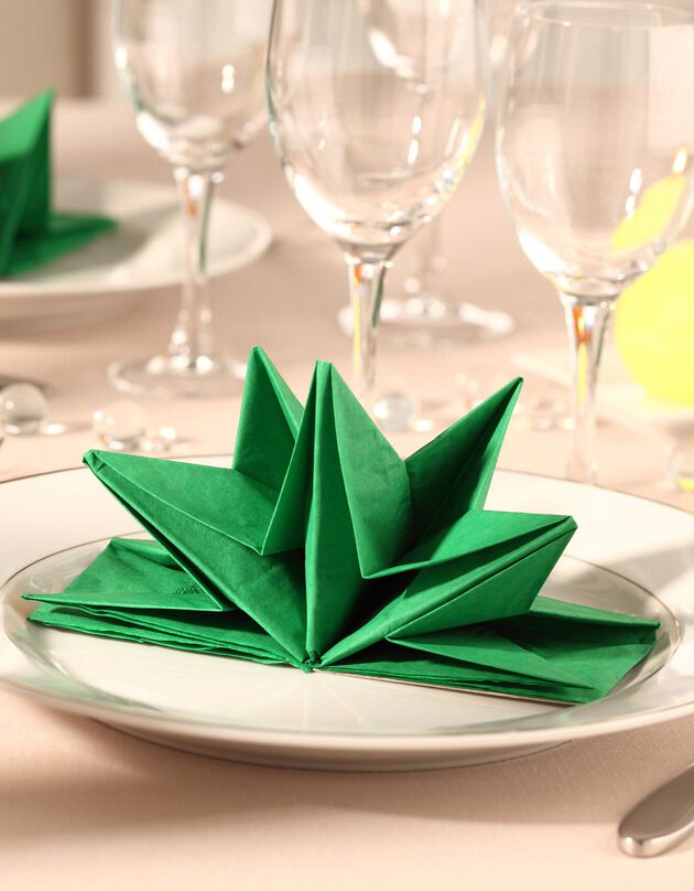 Lot de 12 serviettes prépliées (vert)