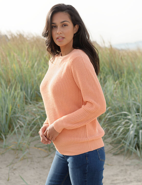 Pull col rond maille anglaise (p&ecirc;che)