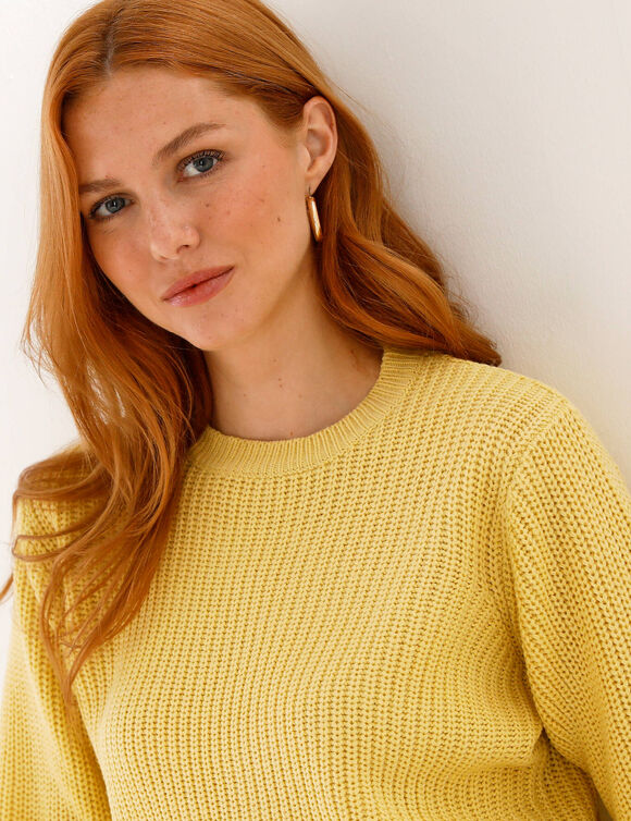 Pull col rond maille anglaise (jaune p&acirc;le)