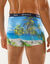 Bedrukte shorty in rekbare microvezel - set van 2 (groen)