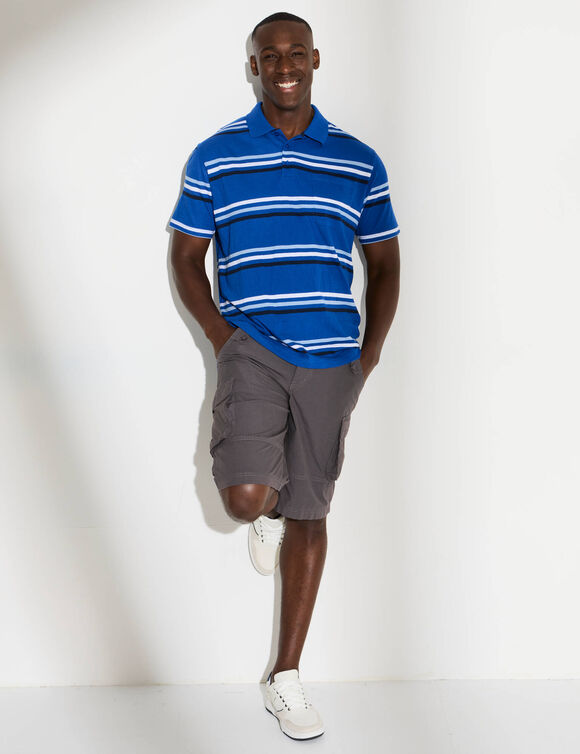 Gestreepte polo met korte mouwen (blauw)