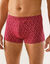 Bedrukte shorty - set van 3 (ANTRACIET + bordeaux + paars)