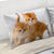 Linge de lit Chaton coton (blanc / orange)
