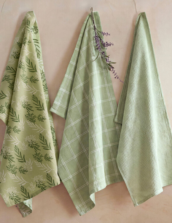 Torchons assortis coton vert sauge - lot de 3 (vert sauge)