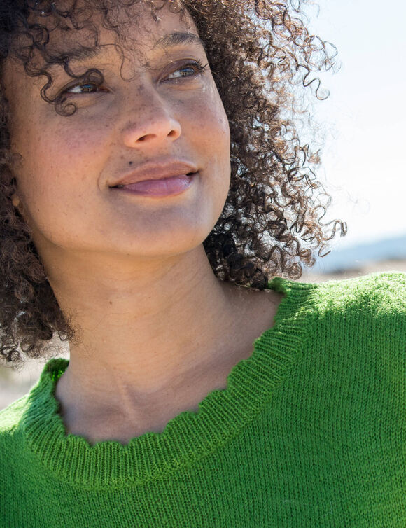 Pull col rond finitions écailles (vert)