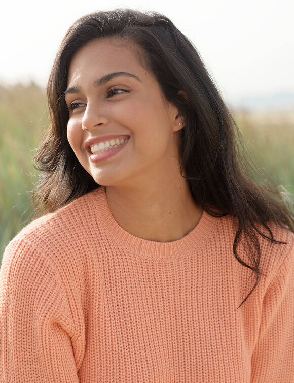 Pull col rond maille anglaise (p&ecirc;che)