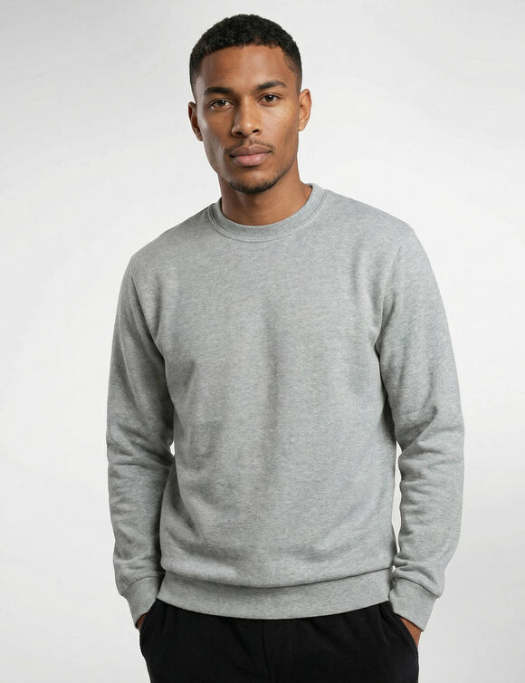 Sweat molleton col rond (gris chin&eacute;)