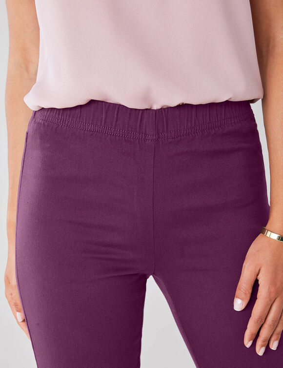 Pantalon sculptant, ceinture ventre plat (prune)