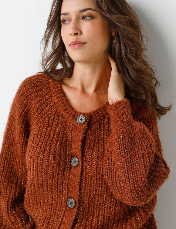 Gilet en maille anglaise fils brillants (chocolade)
