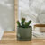 Groene kunstplant en pot in cement (groen)