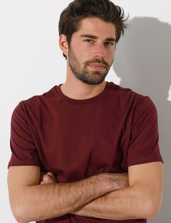 T-shirt col rond manches courtes - lot de 3 (bordeaux + marine + bleu)