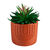 Groene kunstplant en pot in cement (terracotta)