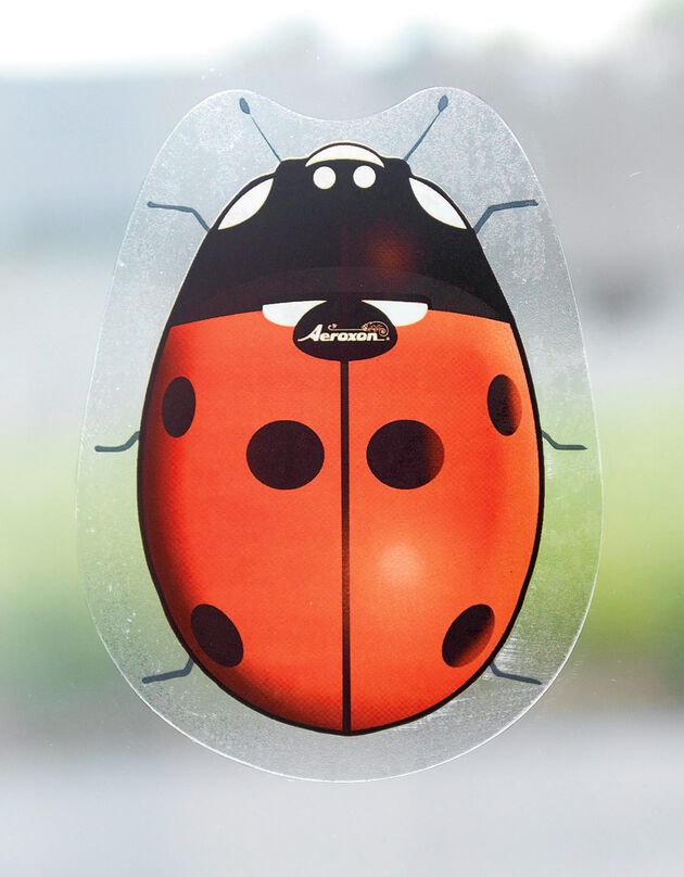Coccinelle adhésive anti-insectes - lot de 4 (coccinelle)