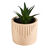 Plante verte artificielle et pot en ciment (beige)