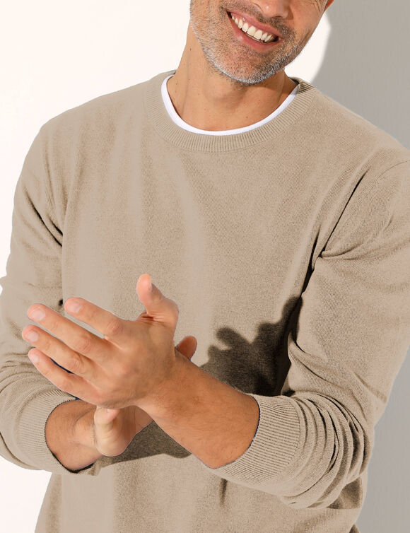 Pull pur coton col rond (taupe chin&eacute;)