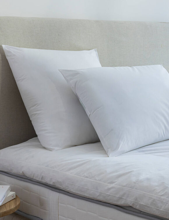 Oreiller antiacarien Dodo® Proneem® moelleux (blanc)