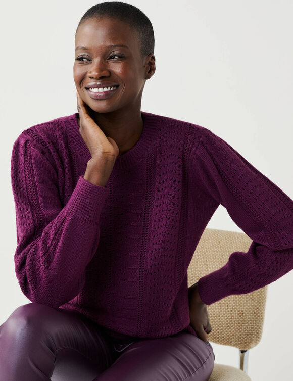 Pull col rond, maille fantaisie toucher doux (prune)